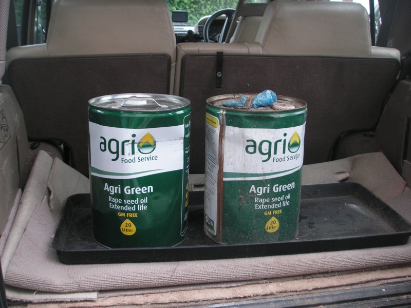 Seed tray for cans.JPG