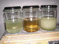 Methanol-oil-bio and ASM.JPG